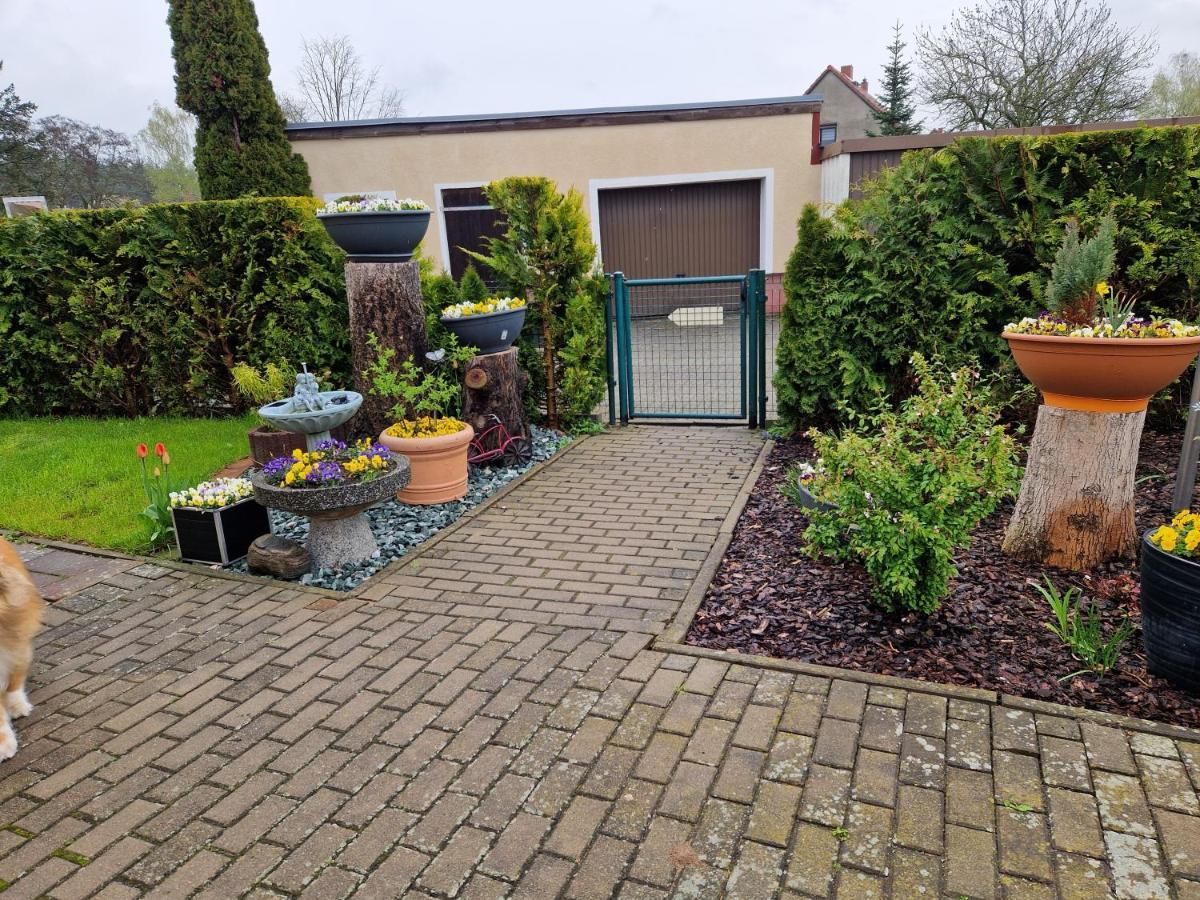 Ferienhaus Schneider Wulkau Zewnętrze zdjęcie